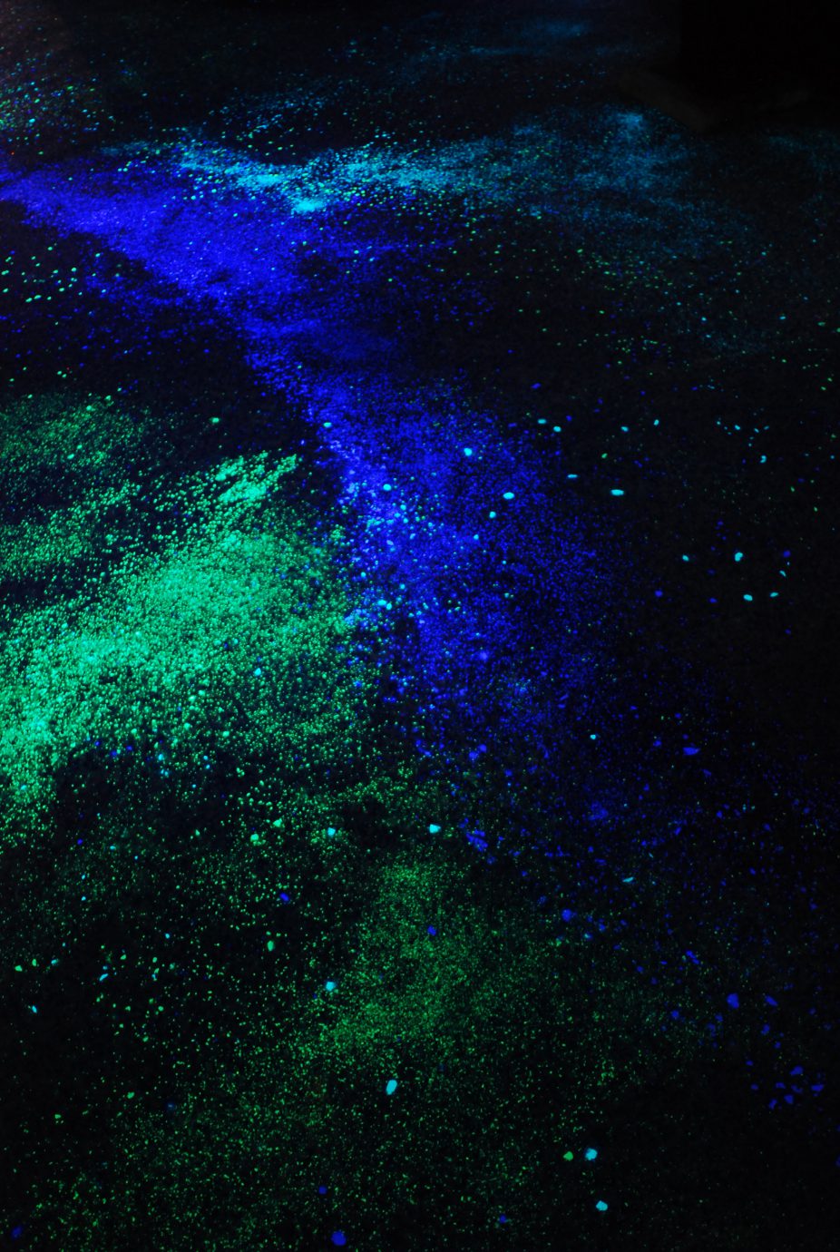  パラダイスの塔の内部 スターツリー（パラダイスの塔）の内部 