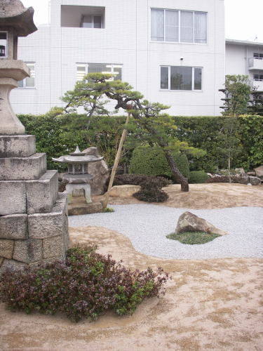 浮島には玉竜　ヤブコウジを